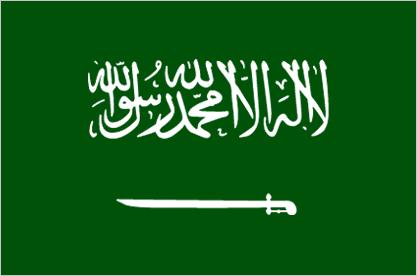 Saudi Arabia Visa